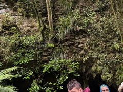 -怀托摩萤火虫洞