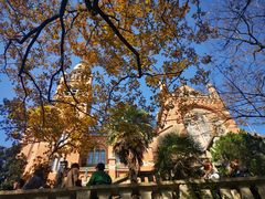 -上海佘山国家森林公园西佘山园