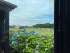 -济州森林小火车生态公园