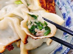韭菜猪肉煎饺-无名氏宵夜小摊(祝家三姐妹馄饨店)
