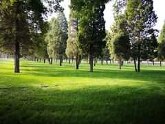 -南宫五洲植物乐园