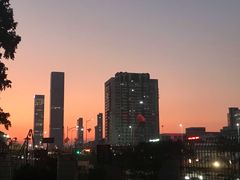 -绿光森林餐厅