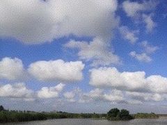 -盐城丹顶鹤湿地生态旅游区
