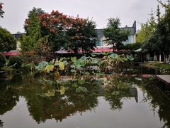 -洪湖家庭农场·团建·露营·会议