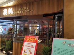 -大树餐厅(益田假日店)