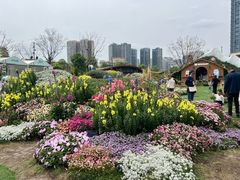-首开·龙湖成都西宸天街