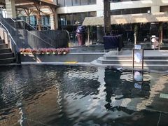 -嘉佑温泉水世界