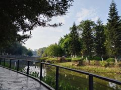 -映月湖公园
