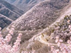 -北京凤凰岭