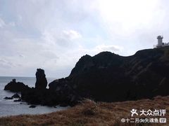 -涉地可支