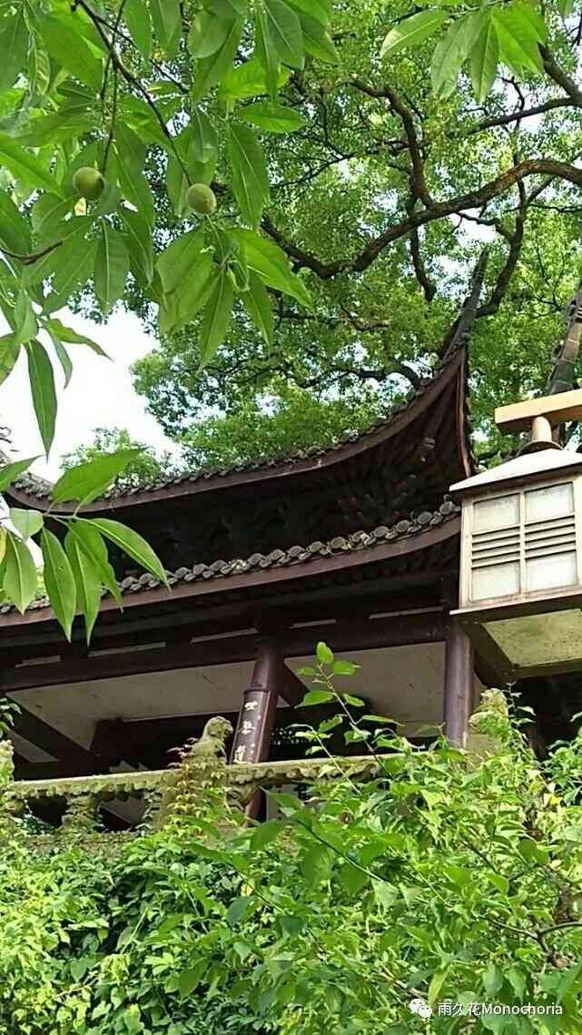 林逋墓-"诗乃生涯,胸次幽壑魂兮归去,有鹤西来 ."-大众点评移动版