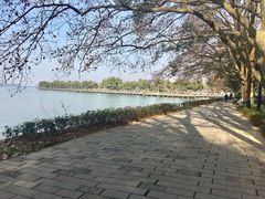 -咸宁万豪温泉谷度假区