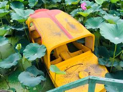 -尚庄度假村·庭台树下·户外烧烤·团建CS·轰趴营地(上庄水库店)