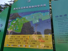 -黑龙江省森林植物园