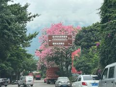 -颛顼龙洞旅游景区