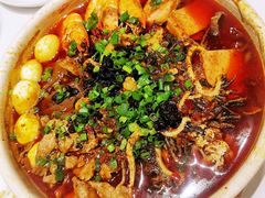 -眉州东坡(上海中心店)