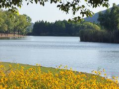 -长广溪湿地公园