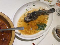-沪华海鲜大酒楼(南汇店)
