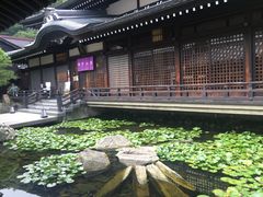 -城崎温泉 外七汤