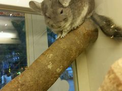 -龙猫仔乐园(惠福东路店)