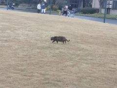 -上海财经大学-新食堂