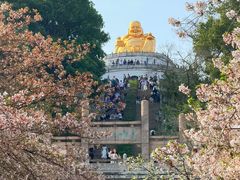 -苏州上方山国家森林公园