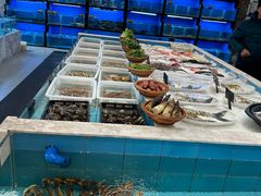 -莆鑫海鲜城(浏河店)