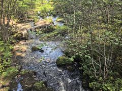 -汤旺河林海奇石景区