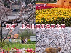 -苏州上方山国家森林公园