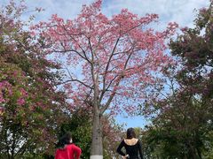 -风云岭森林公园