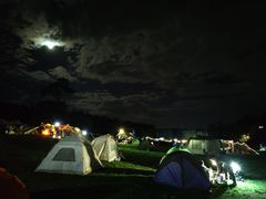 -武陵山森林公园