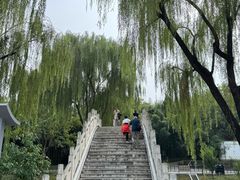 -皇家御河游(紫御湾码头)