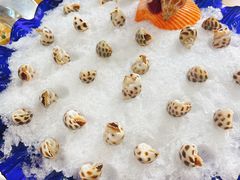 -蚝得喜海鲜(东城店)