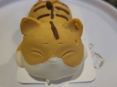 -猫小院猫主题咖啡厅(北锣店)