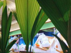 -探窝·竹笙椰子鸡(杨箕店)