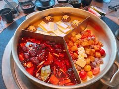 -湊湊火锅·茶憩(石家庄万象城店)
