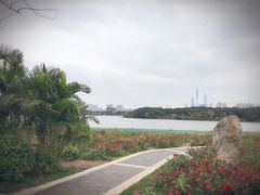 -海珠湖公园