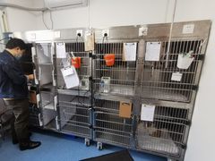 -北京赛佳动物医院