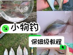 -蓝天路(地铁站)