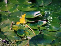 -西湖风景区-江洋畈生态公园