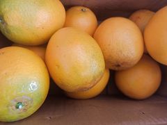 -南京环北服装批发市场