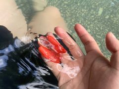 -厦门日月谷温泉渡假村