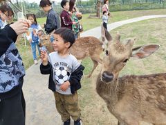 -祥源·阜阳生态乐园