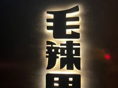 -毛辣果·酸