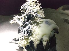 -深圳珠宝博物馆
