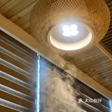 养生新宠 四物椰鸡🥥