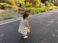 -黄陂区野村谷景区