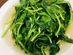 清炒马兰头-观桥阁(锦溪店)