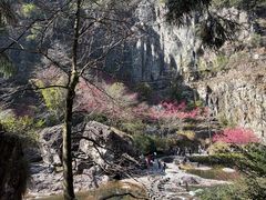-刘伯温故里景区百丈漈