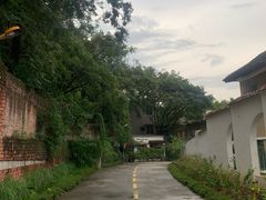 -广东紫坭糖厂(桥头路)